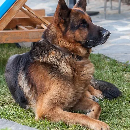 Château De Longcol 4*