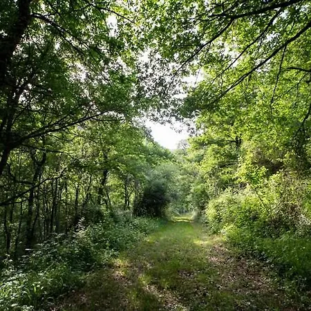 拉昂克尔城堡酒店 酒店