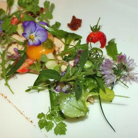 拉昂克尔城堡酒店 La Fouillade